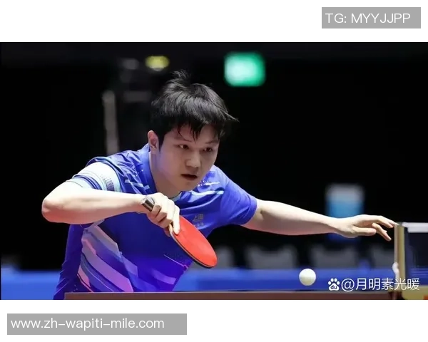 樊振东4-2王楚钦 接连四届全运会晋级男单决赛